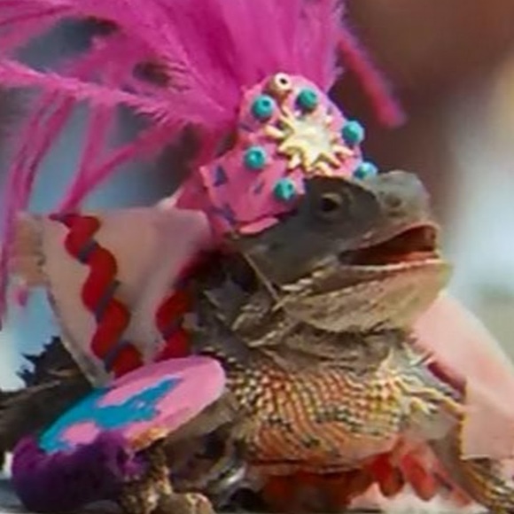 Meet your Posher, Elizabeth - Picture 1 of 1